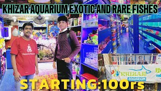 Khizar Aquarium Exotic And Rare Fishes | Starting At : 100rs | Biggest Shop In Thane |