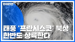 [날씨] 8호 태풍 '프란시스코' 북상...한반도 상륙한다 / YTN