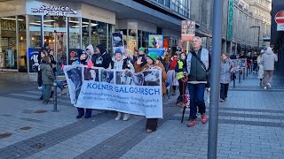 10. Kölner Galgo Marsch Demonstration Galgo Marsch in Köln 2025