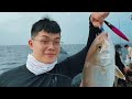 旗興專業海釣船 qixing pro fishing charter 中程鐵板班 東吉腳 20220302 紅甘肥煙大爆釣