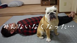 【ご報告】ママと妹犬が出ていきました…