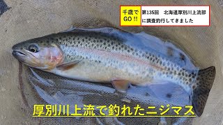 千歳でGO!! 第135回　北海道厚別川の上流部に調査釣行。ニジマスが釣れました。