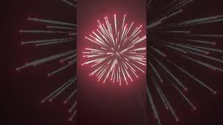 东信-DANCING Firework 8 寸礼花弹   爆裂柳入红头  8‘’DISPLAY -SHELL    Burst willow into red head