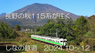 秋から冬へ115系 しなの鉄道 2024.10～12月