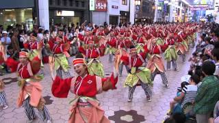 よさこい全国大会(2014/8/12)「ほにや」