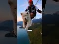 ouka the paragliding dog @ouka.sam