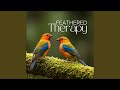 Therapeutic Tranquility