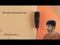 Binary Search Algorithm - Leetcode 875: Koko Eating Bananas Explained in Java, Both Approaches