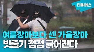 여름장마보다 센 가을장마_맹소영 대표