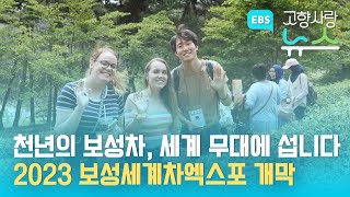 보성 여행, 지금이 적기.. 2023 보성세계차엑스포 개막 / EBS고향사랑뉴스