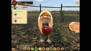 Capy. JC playing Capybara Spa! | Capybara | Capybara Game | Capycool