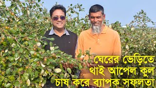 কম খরচে থাই আপেল কুল চাষ পদ্ধতি ও ব্যাপক সফলতা