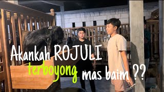 Artis baim cilik mantau rojuli!! #rojuli #kambingetawa #kambingseni #etawakaligesing