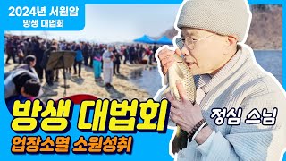 2024 방생법회 | 방생은 어떻게 하는걸까요? 생생한 방생 현장에서 알아보세요! #방생하는법 #방생공덕 #방생기도