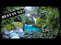 New Zealand's MILFORD TRACK 