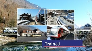 Züge Interlaken-Ost │Zentral Bahn │Goldenpass line Switzerland │ Luzern-Interlaken Express