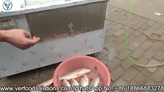 VER Food Solutions Fish Process Fish Scaling Cleaning Machine Test Before Delivery