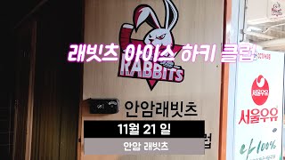 안암 래빗츠 훈련 영상 11월 21일