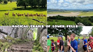 Storth Stampede fell race 2024 - village field day, Magical Woods and the deer park