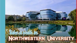 Take a walk in Northwestern University Campus 西北大學校園散步｜Pack or Travel