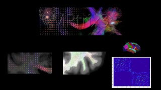 MRtrix Tutorial #1: Download & Install