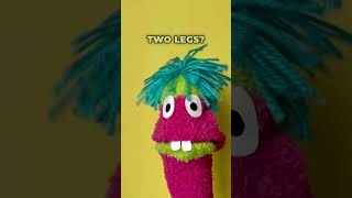 Can you answer this joke? #shorts #funny #puppet