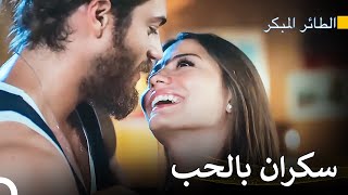 رحلة سينام للعثور على الحب #15 - مسلسل الطائر المبكر