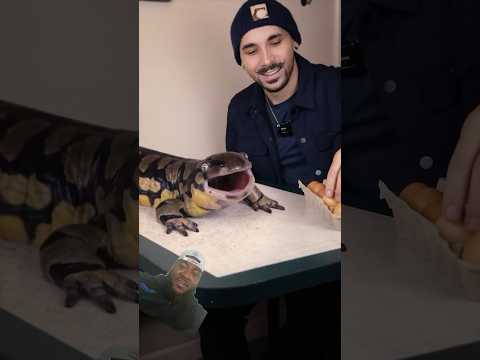 Can a salamander kill you?