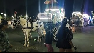 Horse Cart Ride Through the Royal City of Mysore 🏇 ( குதிரை வண்டி ) @cubevideos07 #youtube