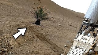 Mars New 4k Video Released By Perseverance Rover: Mars Latest Video || Mars New Video || Mars In 4k