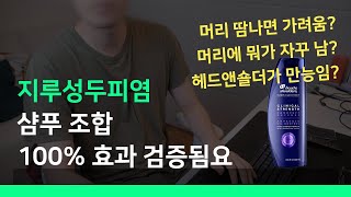 지루성두피염, 지성 샴푸 추천 2023 (헤드앤숄더, 니조랄, 비듬, 두피 가려움, 살리실산)