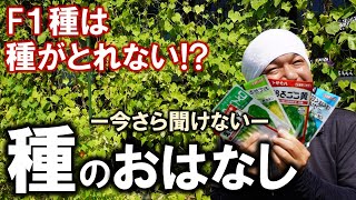 【今さら聞けない】種のおはなし