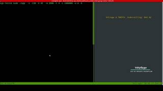 Voltpillager - Buffer Overflow/Underflow