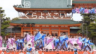 #早稲田大学よさこいチーム東京花火（トウキョウハナビ） #第十八回京都さくらよさこい #kyoto #japan18th Kyoto Sakura Yosakoi