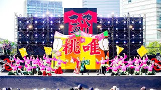 [4K] 京炎そでふれ！京小町　こいや祭り 2024 土曜日