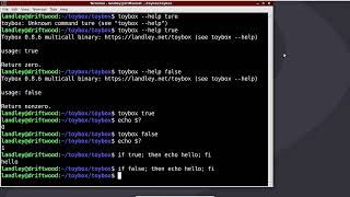 Using toybox true/false