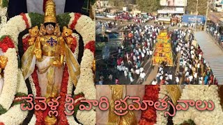 చేవెళ్ల శ్రీ వారి భ్రమోత్సవాలు