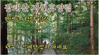 대전 여행 관광 - 장태산 자연휴양림에서 언택트 힐링 여행하기