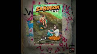 Sa Bobon - Bligz (Bikol Rap)