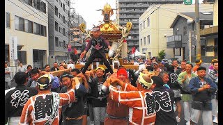 29年  浦和祭り  神輿パレード  「彩心連合 和會」迫力満点です。