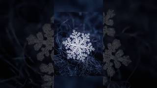 Snowflake photography