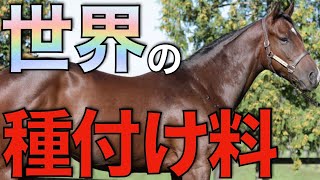 【3冠馬級】怪物フライトラインは20万ドル！世界の種付け料が発表される。