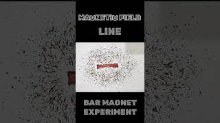 Magnetic field lines experiment class 10 || magnetic field lines#shorts