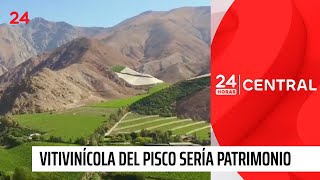 Paisaje vitivinícola del pisco a un paso de ser patrimonio Unesco | 24 Horas TVN Chile