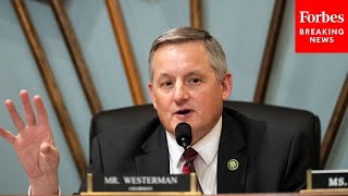 Bruce Westerman Leads House Natural Resources Committee Organization Hearing