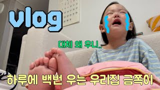 육아브이로그| 25개월 아기.. 혼날걸 알면서 장난치는 금쪽이👶🏻 혹은 유리멘탈 개복치🐠