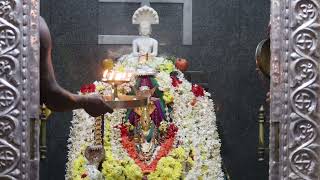 shree vadanabail padmavathi devi mahamangalarathi 31-03-2024