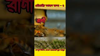 🔥১ চাকে কত রকমের মৌমাছি ?🔥😵 অজানা তথ্য #bee