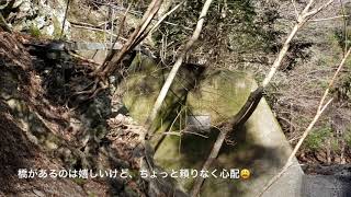 マウンテン・ナカちゃん🎣　祝 気田川解禁