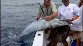 FishingNosara - Black Marlin Battle